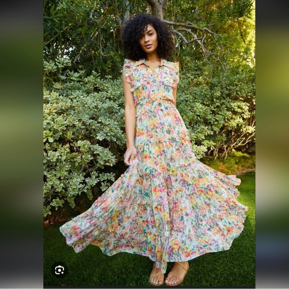 Misa Los Angeles Floral Ruffled Maxi Dress in Pastel Multicolor